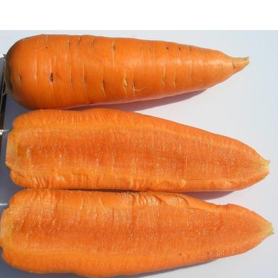 Шантане - семена моркови, 500 г, Clause 82084 фото