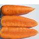 Шантане - насіння моркви, 500 г, Clause 82084 фото 1
