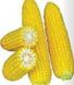 Хаммер F1 - семена кукурузы, 25 000 шт, Lark Seeds 894766247 фото 1