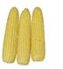 Хаммер F1 - семена кукурузы, 25 000 шт, Lark Seeds 894766247 фото 2