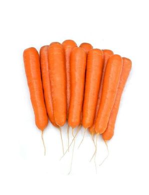 Октаво F1 - насіння моркви, 100 000 шт (калібр.) 1.6-1.8, Hazera 44515 фото