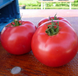 Афен F1 - насіння томата, 250 шт, Clause 66128 фото 2
