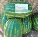 Фарао F1 - семена арбуза, 1000 шт, Syngenta 93759 фото 1