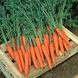 Престо F1 - насіння моркви, 25 000 шт (калібр.) 1.8-2.0, Hazera 58100 фото 1