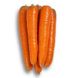 Морква Морелія F1, 25 000 насінин (1.8-2.0), Rijk Zwaan 1090697517 фото 2