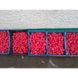 Марвел F1 - насіння редиски, 50 000 шт, Spark Seeds 58001 фото 3