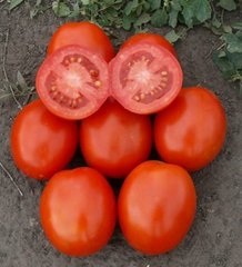 1807 F1 - насіння томата, 5000 шт, Spark Seeds 86200 фото