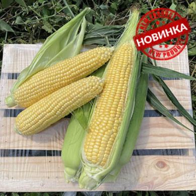 Свит Лаки F1 - семена кукурузы суперсладкой, 2 500 шт, Spark Seeds 46501 фото