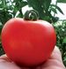 Кристал F1 - насіння томата, 1 г, Clause 10422 фото 1