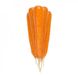 Морковь Трафорд F1, 25 000 семян (1.6-1.8), Rijk Zwaan 1091393518 фото 1