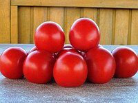Солероссо F1 - насіння томата, 25 000 шт (драже), Nunhems 99384 фото