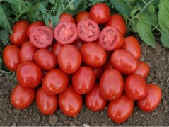 9960 F1 - насіння томата, 5000 шт, Spark Seeds 86400 фото