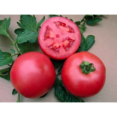 ВП-1 F1 / VP-1 F1 - насіння томата, 1000 шт, Hazera 20839 фото