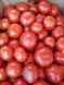 Тобольск F1 - насіння томата, 250 шт, Bejo 18152 фото 3
