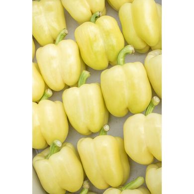 Бурабелла F1 – насіння солодкого перцю, 100 шт, Rijk Zwaan 44986 фото