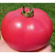 Розалба F1 - насіння томата, 1000 шт, Esasem 77592 фото 2