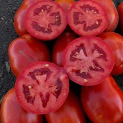 9985 F1 - насіння томата, 5000 шт, Spark Seeds 87110 фото