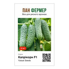 Капрікорн F1 - насіння огірка, 10 шт, Yuksel seeds (Пан Фермер) 69798 фото