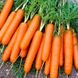 Морковь Джерада F1, 25 000 семян (1.6-1.8), Rijk Zwaan 84960 фото 1