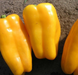 Джеміні F1 - насіння солодкого перцю, 1000 шт, Nunhems 58426 фото 2