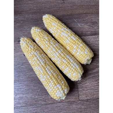Акведук F1 - насіння кукурудзи біколор, 2 500 шт, Spark Seeds 64879 фото