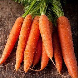 Морковь Каротан, 100 000 семян (1.6-1.8), Rijk Zwaan 60851 фото