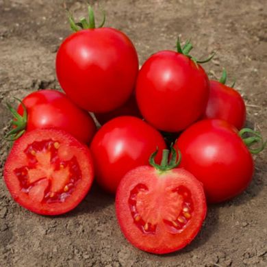 Асвон F1 - насіння томата, 5000 шт, Kitano 57489 фото