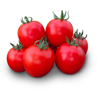 Асвон F1 - насіння томата, 10 000 шт, Kitano 57488 фото