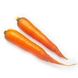 Морковь Каротан, 100 000 семян (1.6-1.8), Rijk Zwaan 60851 фото 3