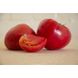 Асано F1 (КС 38 F1) - насіння томата, 500 шт, Kitano 50333 фото 2