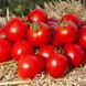 Асвон F1 - насіння томата, 5000 шт, Kitano 57489 фото 2