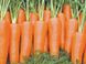 Шантане Роял - семена моркови, 10 г, СЦ Традиция 1114285821 фото 3