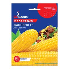 Добриня F1 - насіння кукурудзи, 30 шт, GL Seeds 15921 фото