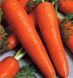 Канада F1 - семена моркови, 1 000 000 шт (2.2-2.4), Bejo 61835 фото 3