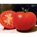 Багіра F1 - насіння томата, 5 г, Clause 66223 фото 5