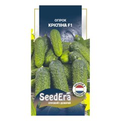 Кріспіна F1 - насіння огірка, 10 шт, Nunhems (SeedEra) 47501 фото
