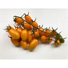 Мінікін F1 - насіння томата, 500 шт, Spark Seeds 90400 фото