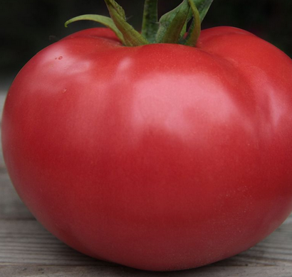 Кібо F1 - насіння томата, 1000 шт, Kitano 50354 фото