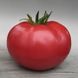 Кібо F1 - насіння томата, 1000 шт, Kitano 50354 фото 3