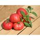 Хапінет F1 - насіння томата, 1000 шт, Syngenta 78901 фото 1